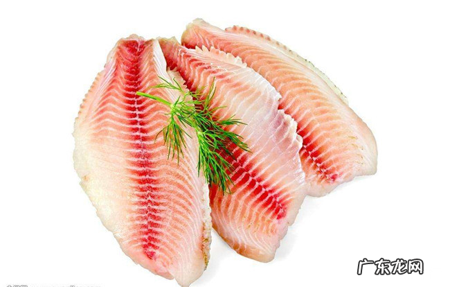 高蛋白食物有哪些 十大高蛋白食物排行榜