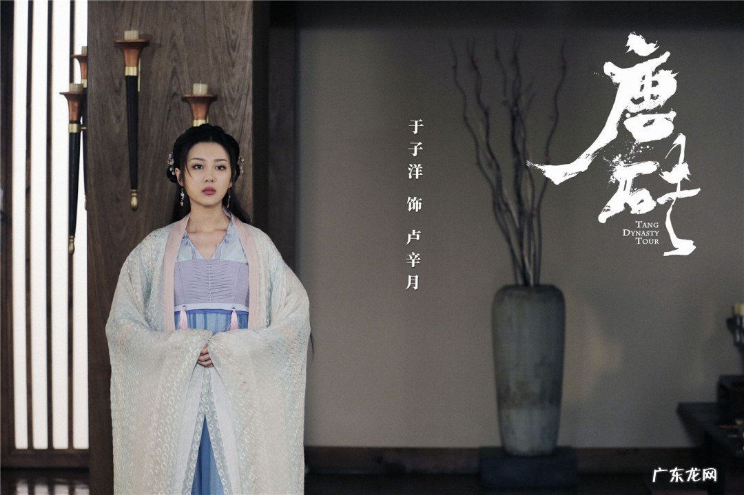 唐砖电视剧卢辛月结局