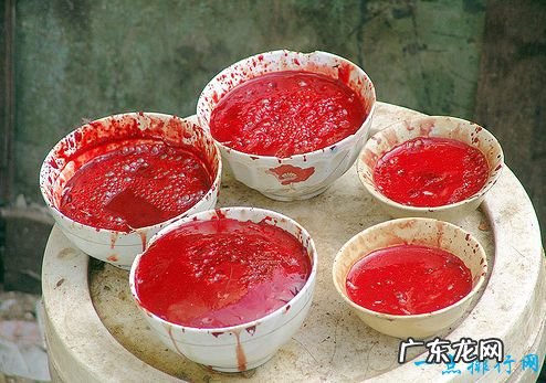 全球十大恶心食品 不知道贝爷吃过哪几种!