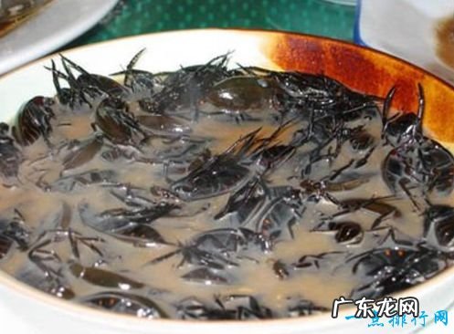 全球十大恶心食品 不知道贝爷吃过哪几种!