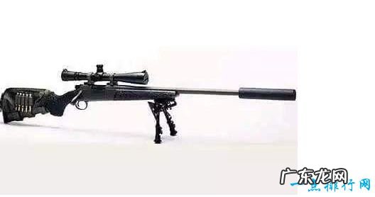 世界十大狙击枪排名 美俄几乎垄断了