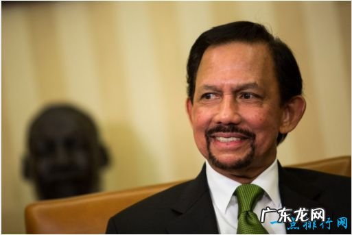 世界十大最富有的总统排行榜谁最壕?