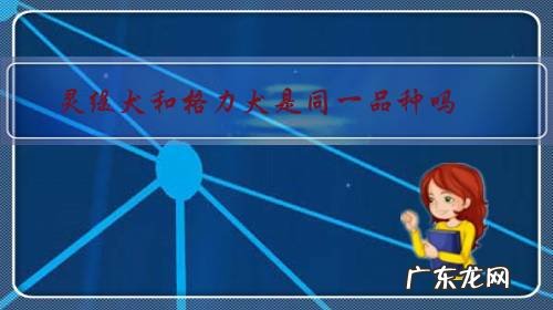 细狗格力犬好还是灵缇 灵缇犬和格力犬是同一品种吗?