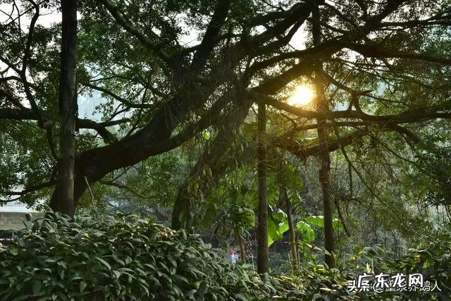 疫情期间,被隔离的人都是怎么生活呢