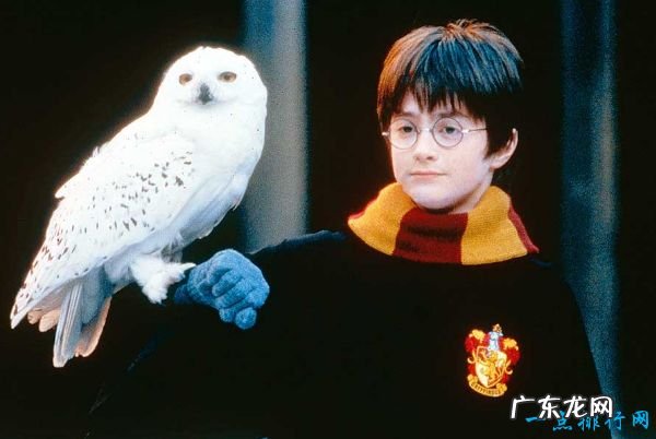 全球十大魔幻电影排行榜 《哈利·波特》位居第一