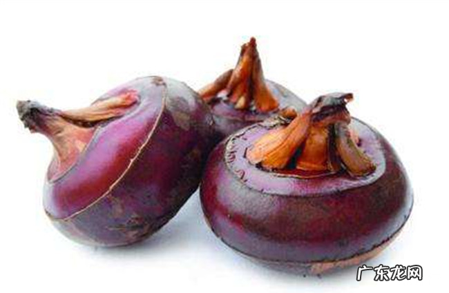 盘点十大清热去火水果排行 什么水果去火效果最好