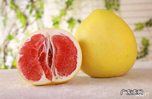 盘点十大清热去火水果排行 什么水果去火效果最好