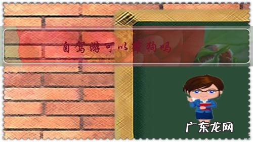 自驾能不能带狗 自驾游可以带狗吗?有什么影响?