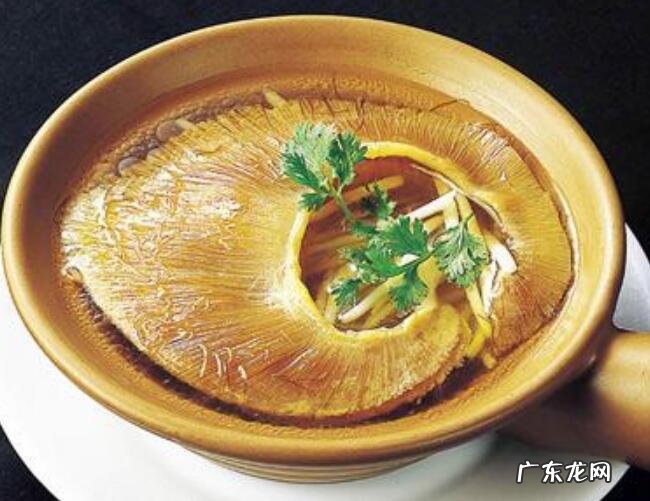 四大海味 又一种残忍的捕捞!