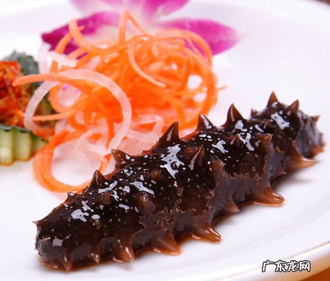 四大海味 又一种残忍的捕捞!