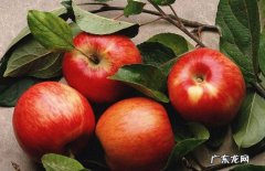 糖尿病病人可以吃什么水果 糖尿病病人可以吃的水果推荐