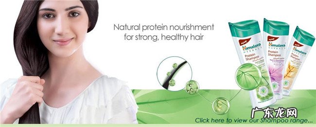 世界顶级洗发水排名榜 国际十大洗发水品牌