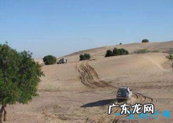 中国十大凶杀案 南大碎尸案排第一