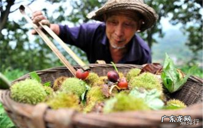 连云港十大特产 连云港有什么特产