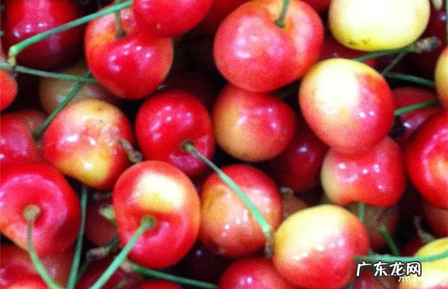 世界上最甜的水果排名 甘蔗居然没上榜