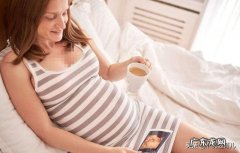 孕晚期喝什么花茶好呢，白开水实在喝不下去了