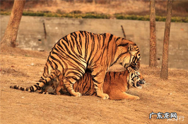 常州十大景点排名榜 常州有什么好玩的地方