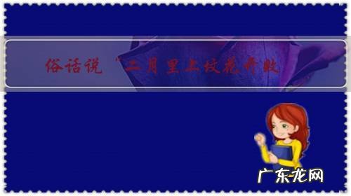 俗话说“二月里上坟花开败,三月里上坟花不开”,这个是为什么呢?