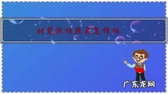 时髦旅拍照要怎样拍，才显旅拍中的人像美？