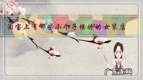 淘宝上有哪些小个子模特的女装店?