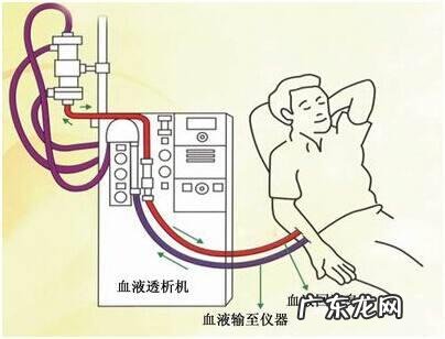 肾功能衰竭的时候为什么会有大量蛋白尿排出而同时伴有高钾血症