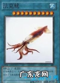 网络十大神兽 你知道哪几个