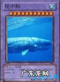 网络十大神兽 你知道哪几个