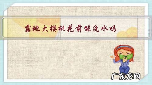 露地大樱桃花前能浇水吗？什么时间浇水最合理？