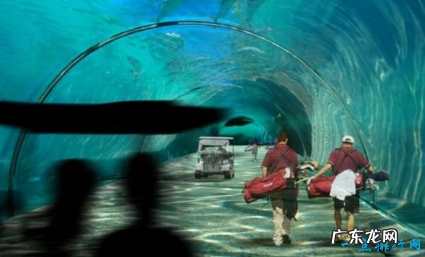 世界水上旅游景点排行