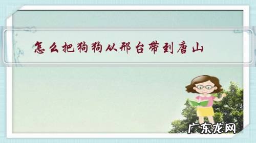 怎么把狗狗从邢台带到唐山，大约1000里地，有没有什么建议？