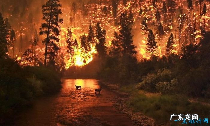 世界十大灾难 场面简直是世界末日