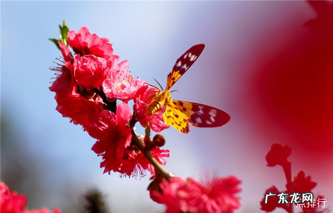 连云港十大景点排行 连云港哪个景点最好玩