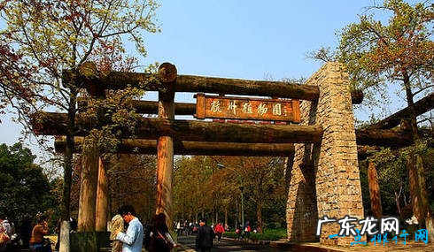 杭州好玩的地方排行榜 哪怕错过一个地方都会后悔哦