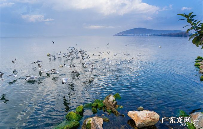 大理十大景点排行榜 大理必去景点推荐