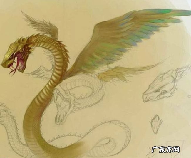 四大灵兽 居然也留恋人间