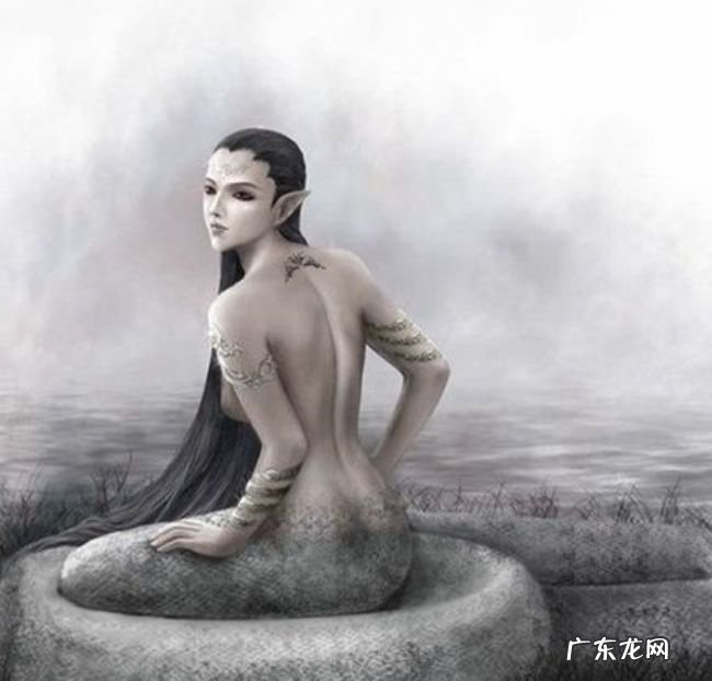 四大灵兽 居然也留恋人间