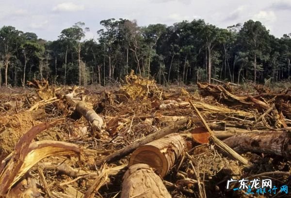 全球变暖的十大主要原因 人口增加竟然排第一！