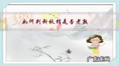 秋葵怎么判断熟了 如何判断秋梢是否老熟？