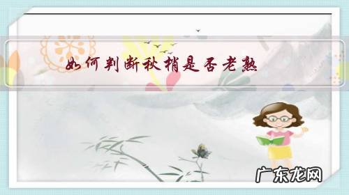 秋葵怎么判断熟了 如何判断秋梢是否老熟？