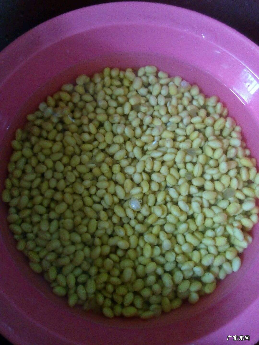 煮黄豆的功效与作用禁忌是什么