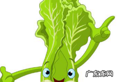 引产后怎样减肚子上的肥肉