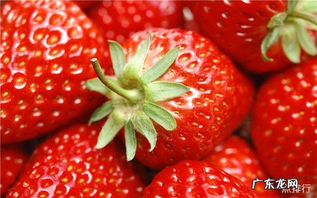 吃什么水果去火 十种能降火排毒的水果排名