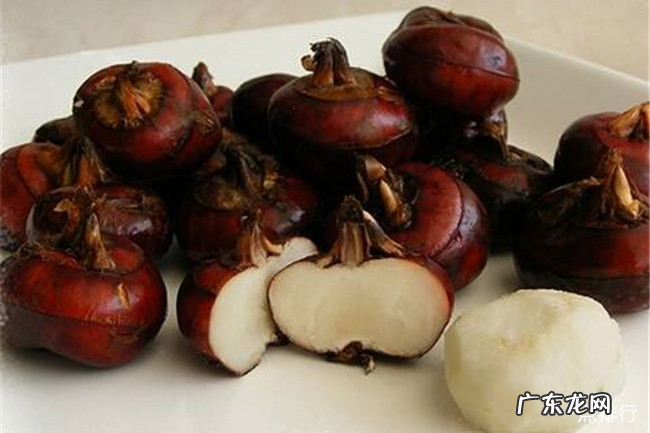 吃什么对肺好 十大养肺润肺的食物排行