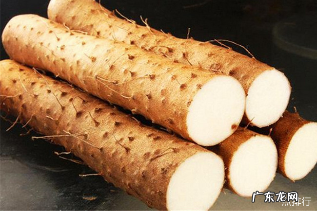 吃什么对肺好 十大养肺润肺的食物排行