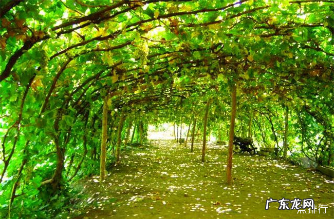 吐鲁番十大旅游景点排名 吐鲁番必去景点推荐