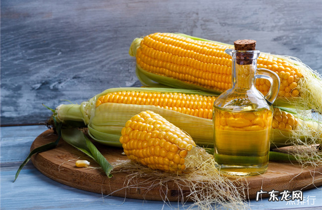 十大常见的植物油盘点 家用植物油都有哪些