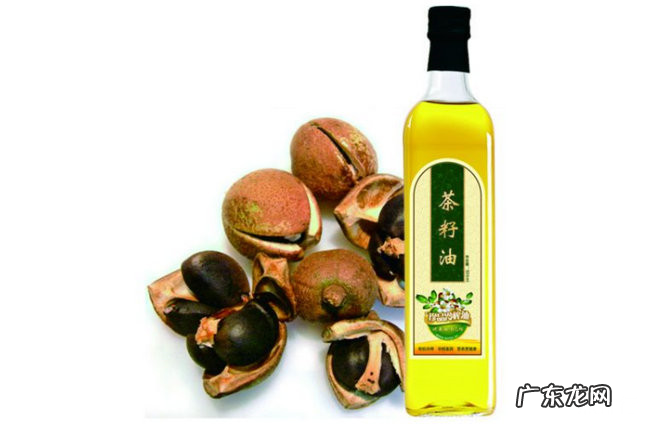 十大常见的植物油盘点 家用植物油都有哪些