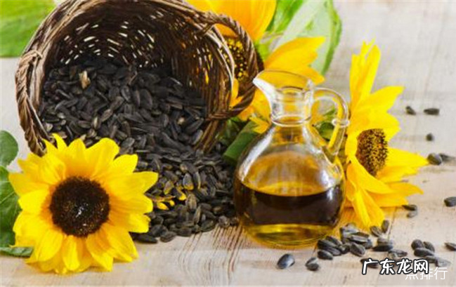 十大常见的植物油盘点 家用植物油都有哪些
