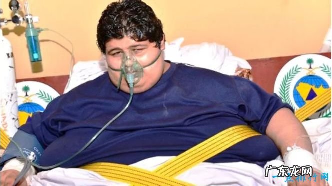 十个世界上最重的人 最重的体重达到1270斤！