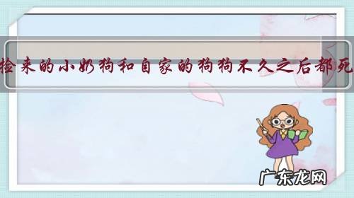 外面捡来的小奶狗和自家的狗狗不久之后都死了,是什么原因?